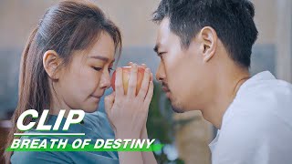 Clip: Li Tiancheng And Zhou Yue Grab An Apple | Breath of Destiny EP14 | 一起深呼吸 | iQiyi