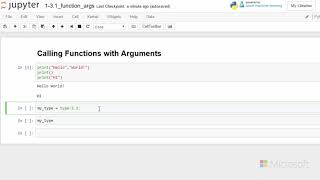 26 Python Beginner Strings and Functions - Call Function with Arguments