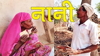 नानी । तारा संस्थान ।Tara Sansthan I उदयपुर । राजस्थान । Village Life I