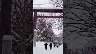 下著雪的北海道神宮