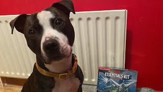 D&D essentials kit : Your gateway to epic adventures