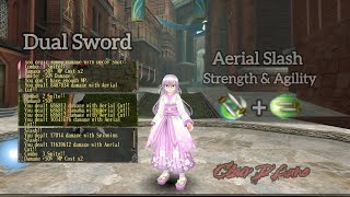 Toram Online : Dual Sword Cap 290 Build