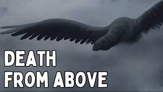 The Largest Bird To Ever Fly