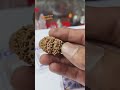 13 mukhi rudraksha|| full seeds ||  35.80mm || 6.870 gm || #13mukhirudraksha #rudraksha #nepali