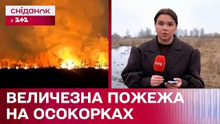 МАСШТАБНА ПОЖЕЖА в екопарку столиці! Які причини та наслідки?