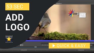 VideoPad Tutorial: How to Add Logo in VideoPad