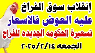 اسعار الفراخ البيضاء اليوم/ سعر الفراخ البيضاء اليوم الجمعه 14-2-2025 في مصر جمله وقطاعي