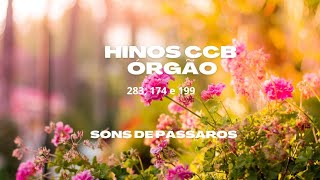 Hinos CCB 283, 174 e 199 - Instrumental - Órgão