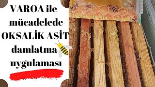 Varoa ile mücadelede oksalik asit uygulaması