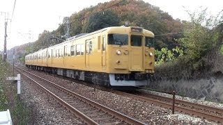 【山陽本線】JR西日本　地域色115系電車　オカD-09編成