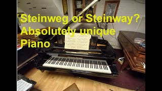 History of Steinway/Steinweg unique Piano