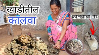 आम्ही गेलो खाडीतून कालवे काढायला || Oyster कालवे कशी फोडतात || कोकणातील गावची मजा