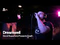 Dreamwell - Good Reasons to Freeze to Death | Audiotree Live