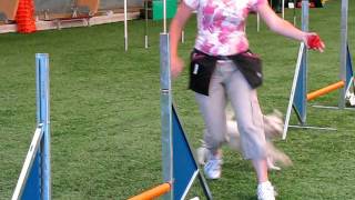 Agility / ACEn harkat