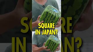 Why Watermelons are Square in Japan 🇯🇵