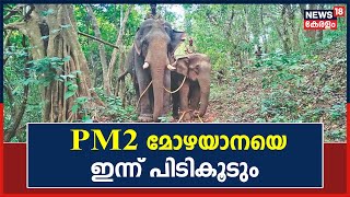 Batheriയിലെ മോഴയാനയെ ഇന്ന് പിടി കൂടും; മയക്കുവെടി വയ്ക്കാൻ സർക്കാർ അനുമതി,കുങ്കി സംഘം സജ്ജം