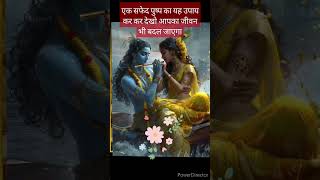 har har Mahadev Pradeep Mishra ji ka yah upay Sun Lo aap bhi #shorts #video #upay #ytshortvideo