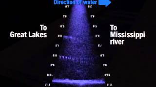 A Watershed Moment: Video shows fish crossing barrier meant to stop Asian carp