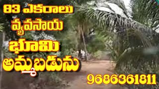 83 ఎకరాలు పలు రకాల పండ్ల  సాగు భూమి అమ్మ బడును | 83 Acre Verity Fruit Cultivation Land At Low Price