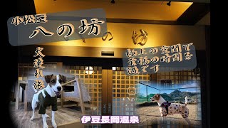 【わんこと旅行】小松屋八の坊に宿泊至高の時間を過ごす犬旅