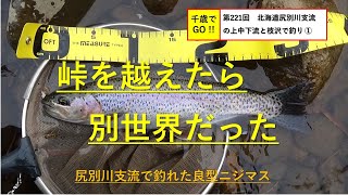 千歳でGO!! 第221回　北海道尻別川支流の上中下流部と枝沢で釣りました。ヤマメ、ニジマス、イワナが釣れました。