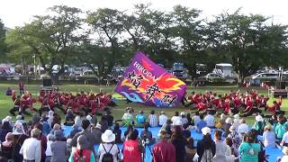 弘前大学HIRODAI焔舞陣 祭焔 十和田よさこい夢まつり2018 緑地公園