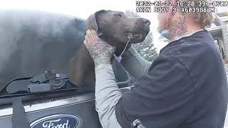 Dog Rescued From Burning Car Thanks Cop With Kisses