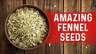 Fennel Seeds Benefits for Stomach Bloating and Cramping – Bloating Stomach Remedies – Dr. Berg