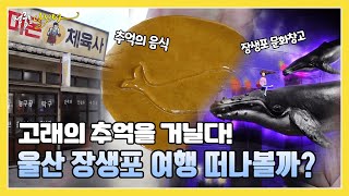 고래의 추억을 거닐다! 울산 장생포 여행 떠나볼까? | KBS 220207방송