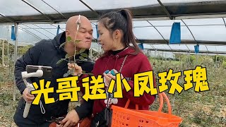 光哥開始重新做人了，學會給自己老婆送玫瑰花，這畫面也太溫馨了【田野小鳳】