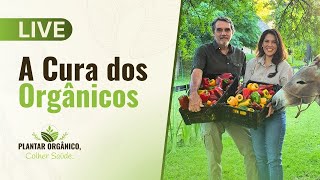 Live: A Cura dos Orgânicos