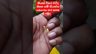 බලන්නකො කීයක් වටීද කියල jem srilankan