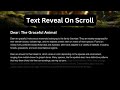 CSS Only Scroll Animation | Text Reveal Effect on Scroll | No JavaScript Needed!