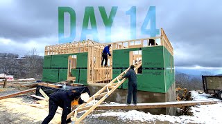 Building The Farmhouse | Day 14