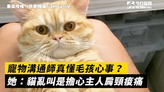 寵物溝通師真懂毛孩心事？ 她：貓亂叫是擔心主人肩頸痠痛