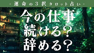 転職のタイミングなど！今の仕事を続ける？辞める？🍸