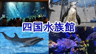 四国水族館に行ったよ！イルカショーが楽しかった！2023/8/12(土)