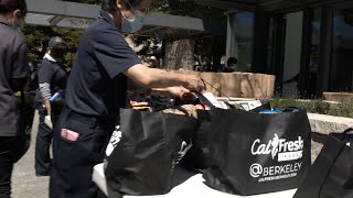 Berkeley students, staff provide groceries to those in need