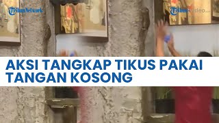 Aksi Sigap Karyawan Resto Tangkap Tikus Pakai Tangan Kosong, Warganet: Cocok Jadi Ketua KPK