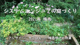 2021年梅雨 【アジサイ ／ 外ごはん ／ 梅雨明けの作業 ／ システムエンジニアの庭づくり】