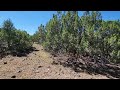 SOLD - 1.24 Acres - RV Friendly! In Concho, Apache County AZ.