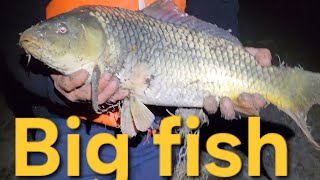 Efsane Sazan avı 2024 | Oltayı gölün ortasına aldı gitti!! #bigcarp #bigfish #sazan #angler