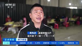 [正点财经]种下希望 四川德阳：抢抓农时 促增产 保增收|CCTV财经