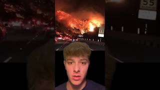 Insane Wildfire