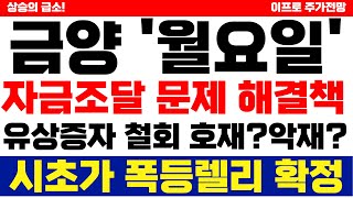 (금양) 월요일! 자금조달 문제해결책! 유상증자 철회 호재?악재? 시초가 폭등렐리 확정