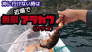 沖に行けない時は近場で無限アラカブ（カサゴ）