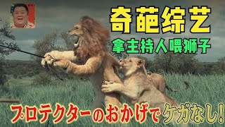 Use the flesh as a bait to shoot ferocious beasts, Japan's most dangerous variety show!