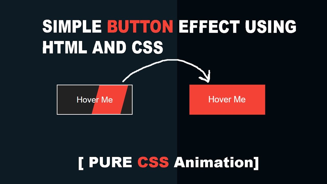 Button HOVER EFFECT USING HTML AND CSS - YouTube