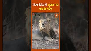 જૂનાગઢ: ગીરમાં સિંહોની સુરક્ષા માટે હાઇટેક પહેલ