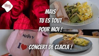 ⌜VLOG⌝ Mais tu es TOUT pour MOI : Concert de clacla ! #claraluciani